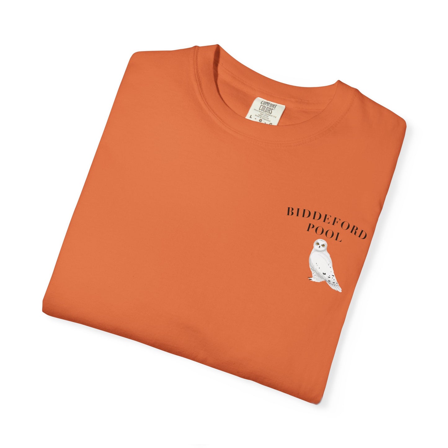 Biddeford Pool Snowy Owl tee