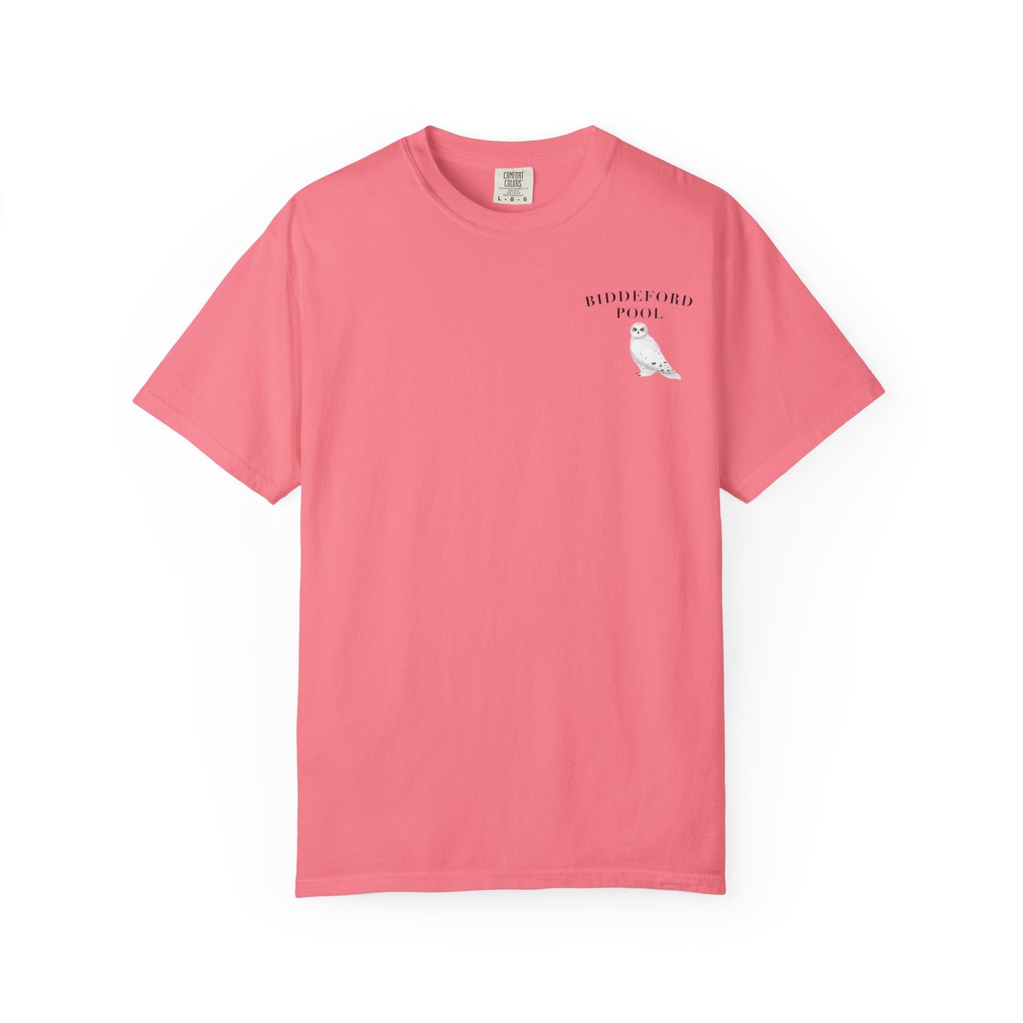 Biddeford Pool Snowy Owl tee