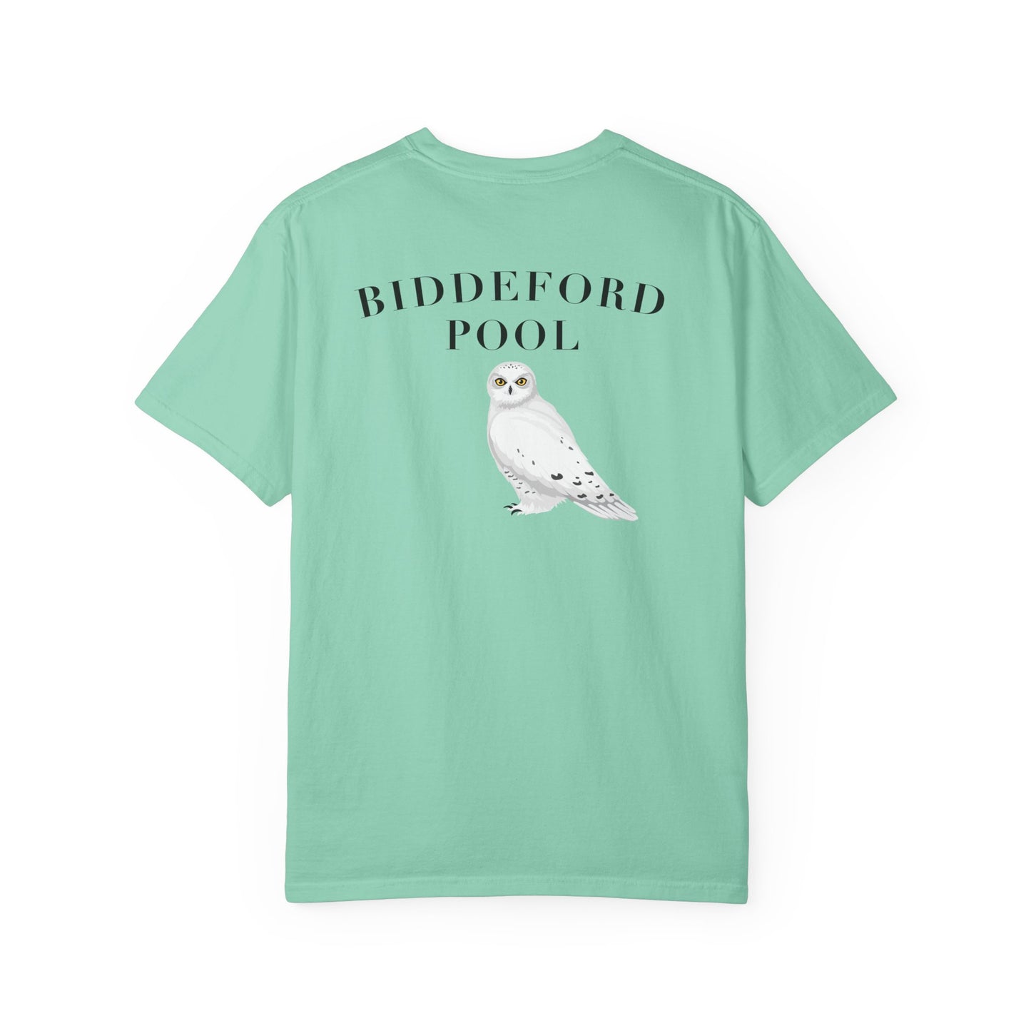 Biddeford Pool Snowy Owl tee
