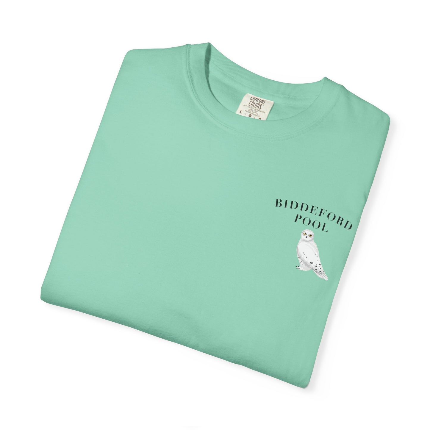 Biddeford Pool Snowy Owl tee