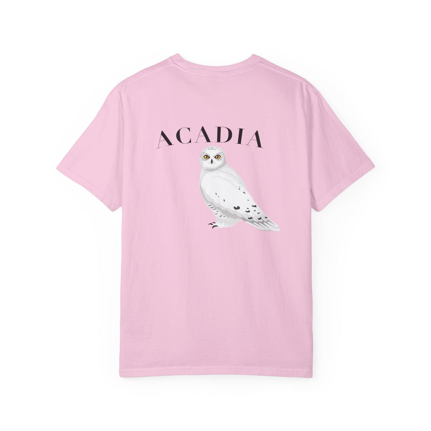 Acadia National Park Snowy Owl Tee – Comfort Colors 1717