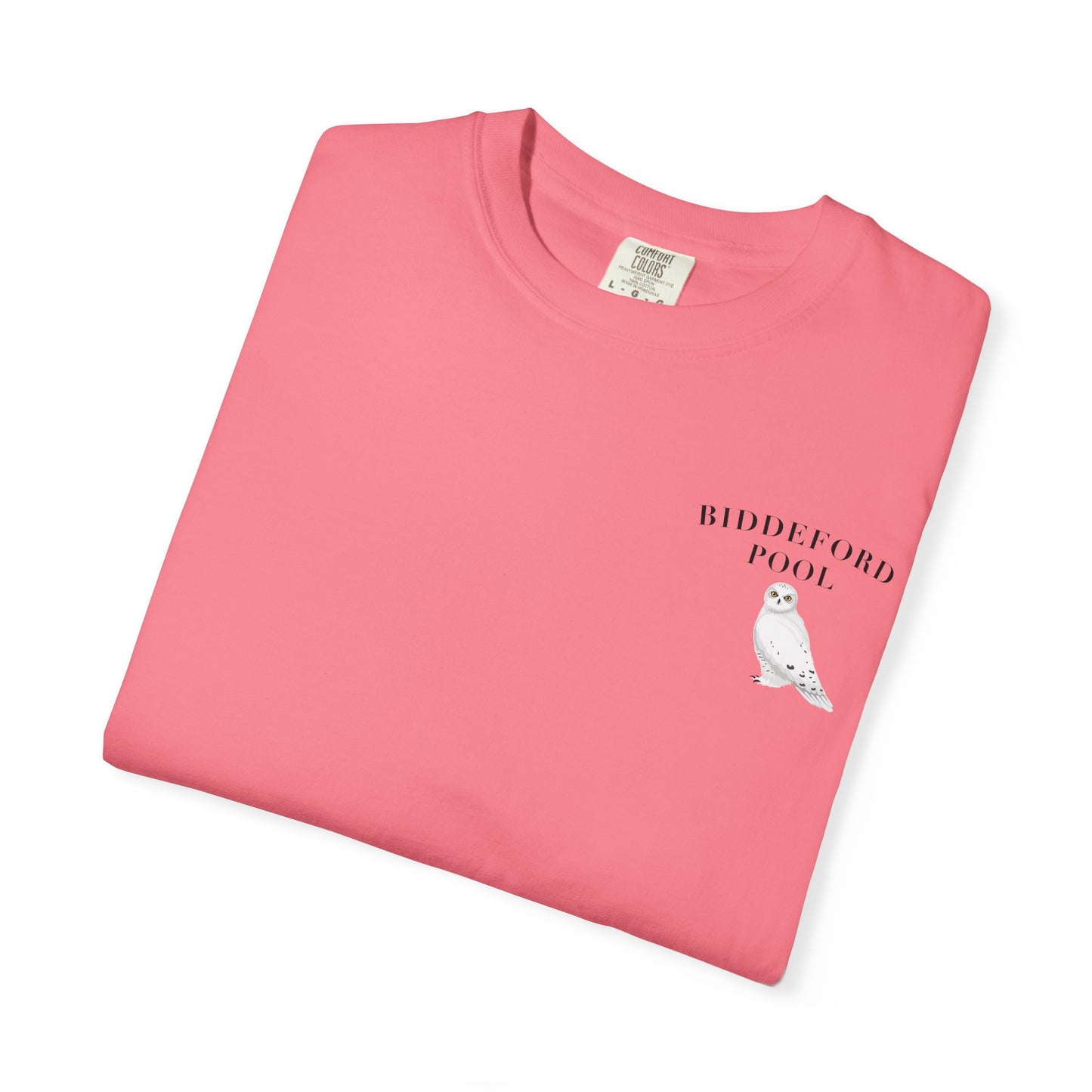 Biddeford Pool Snowy Owl tee