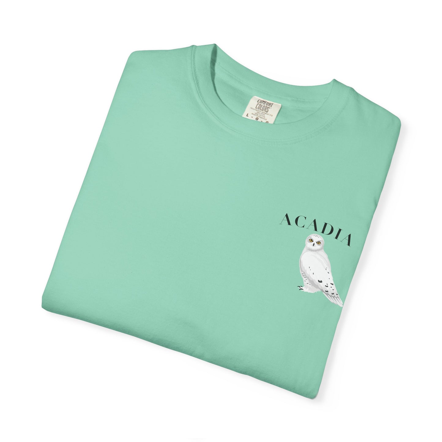 Acadia National Park Snowy Owl Tee – Comfort Colors 1717