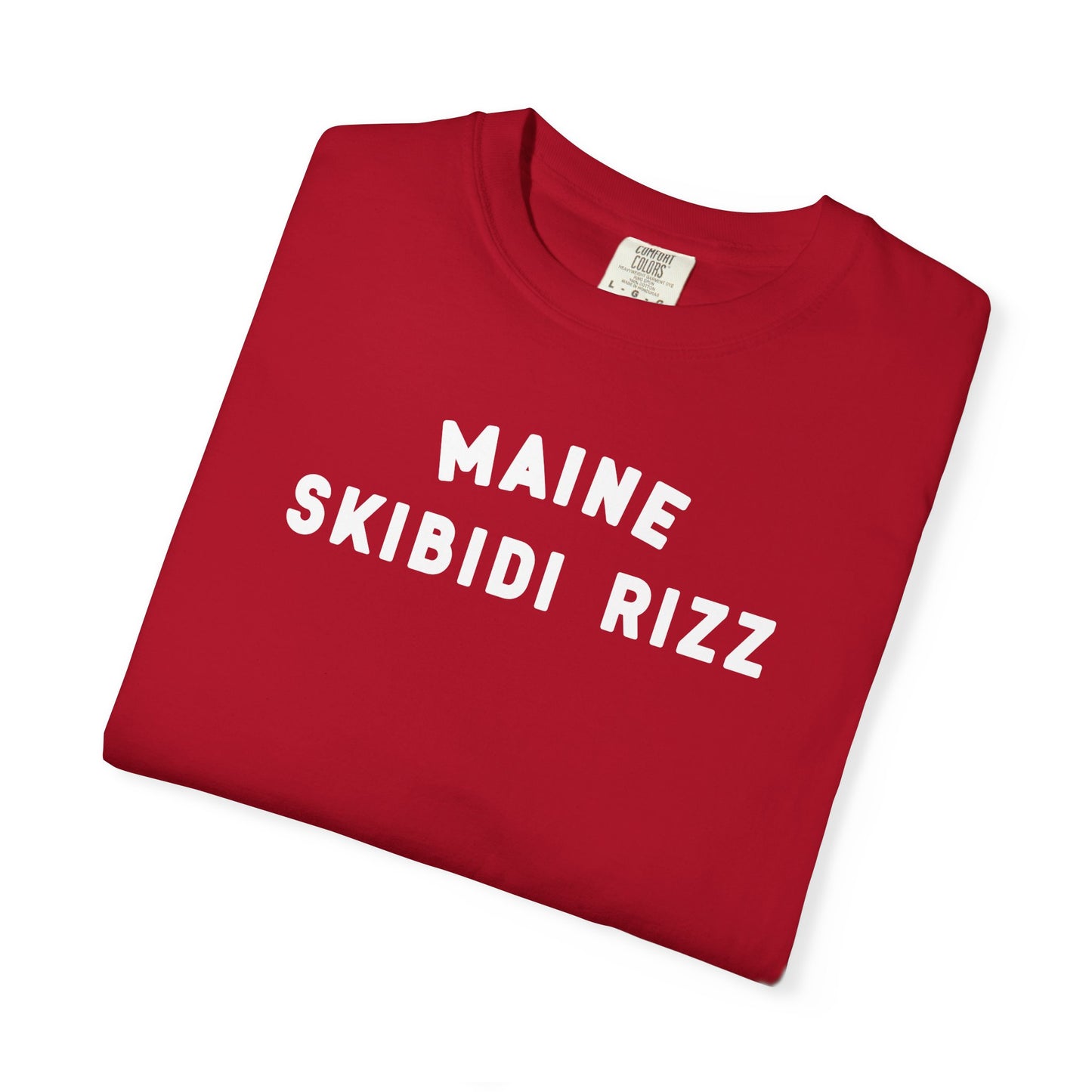 Maine - Skibidi Rizz - T-shirt