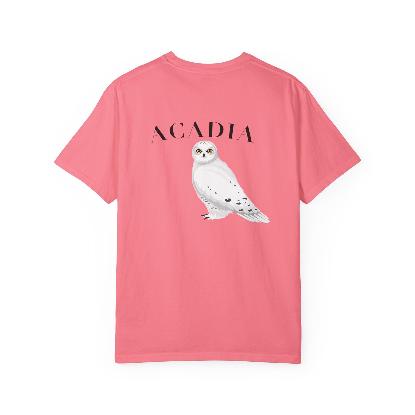 Acadia National Park Snowy Owl Tee – Comfort Colors 1717