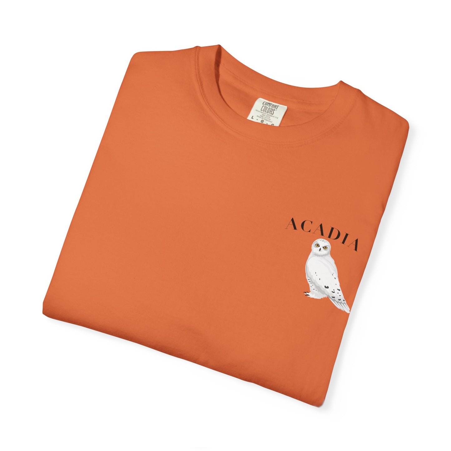 Acadia National Park Snowy Owl Tee – Comfort Colors 1717