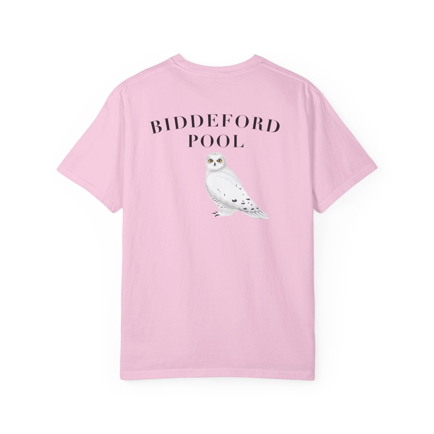 Biddeford Pool Snowy Owl tee