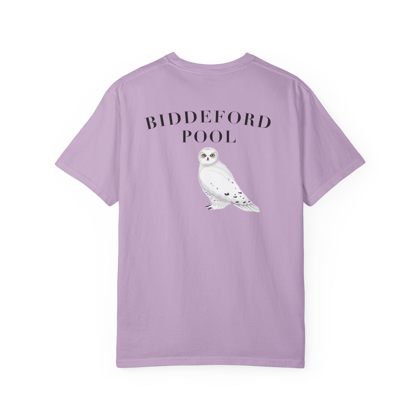 Biddeford Pool Snowy Owl tee