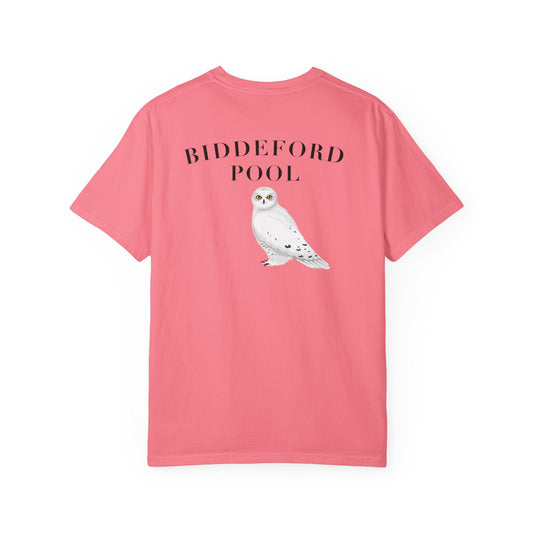 Biddeford Pool Snowy Owl tee