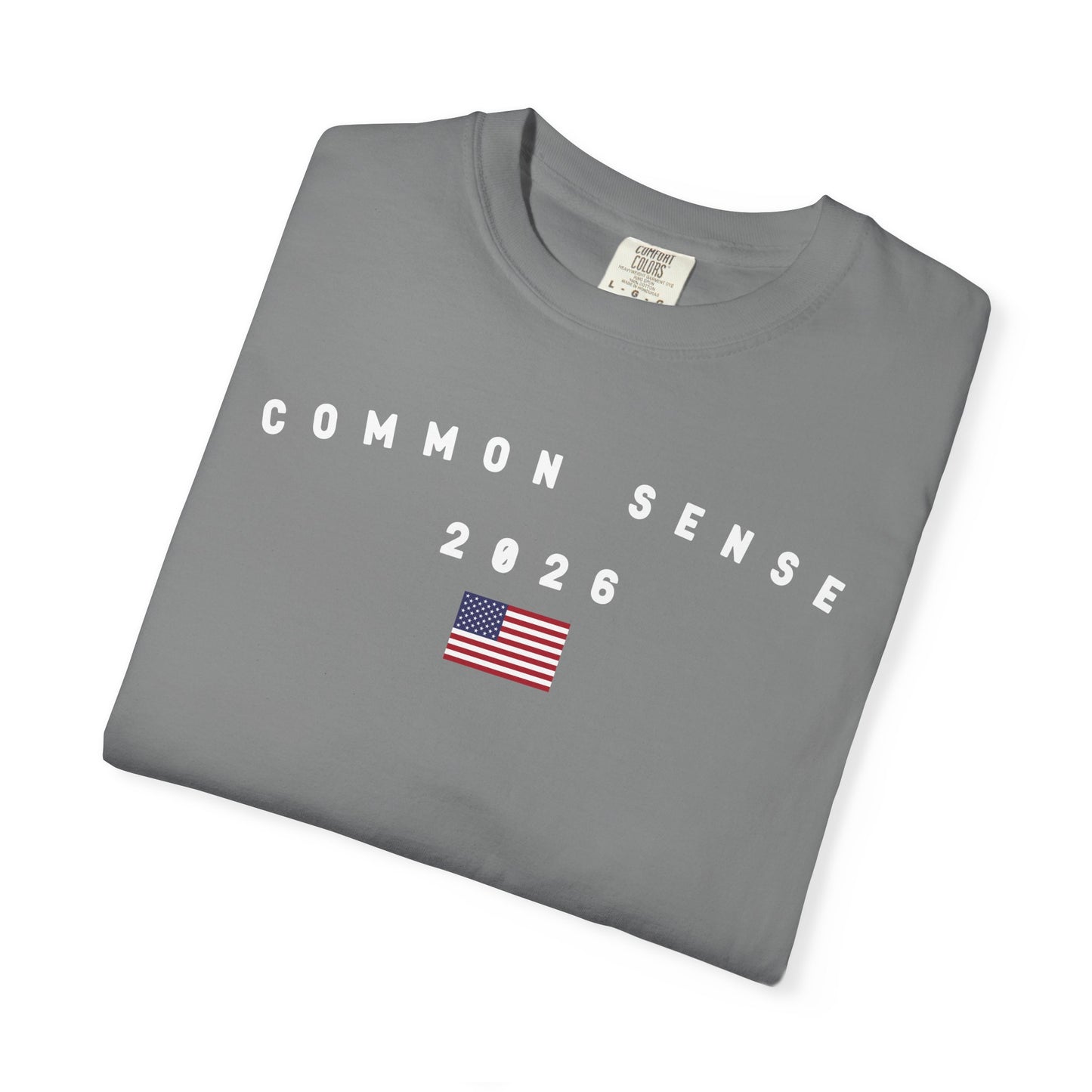 Common Sense 2026 with Flag Tee Shirt - White Letters