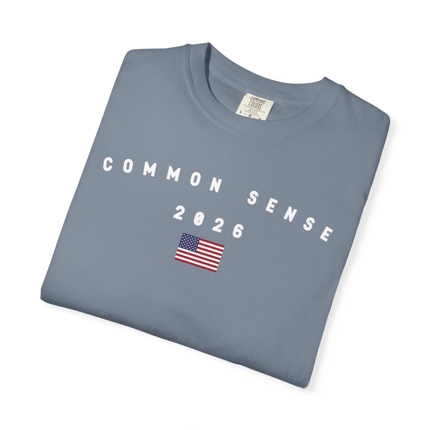 Common Sense 2026 with Flag Tee Shirt - White Letters