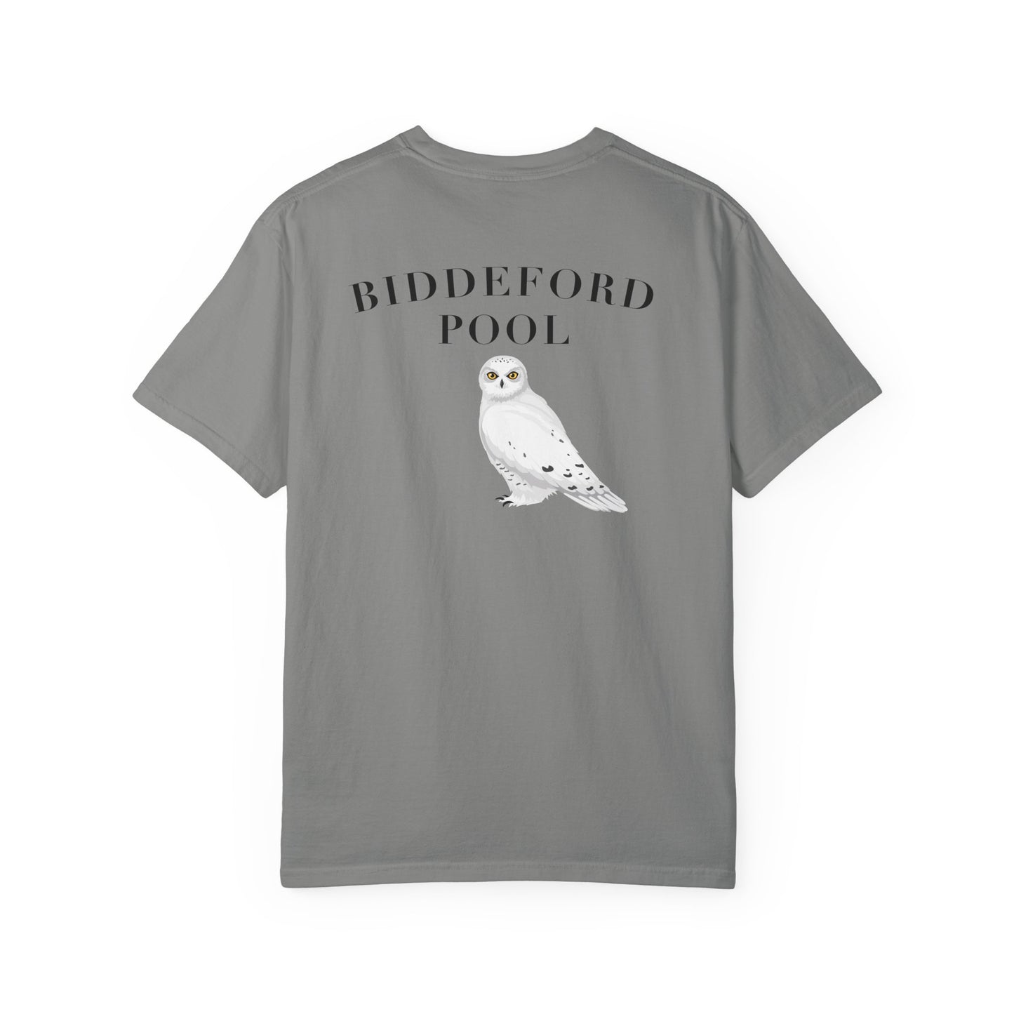 Biddeford Pool Snowy Owl tee