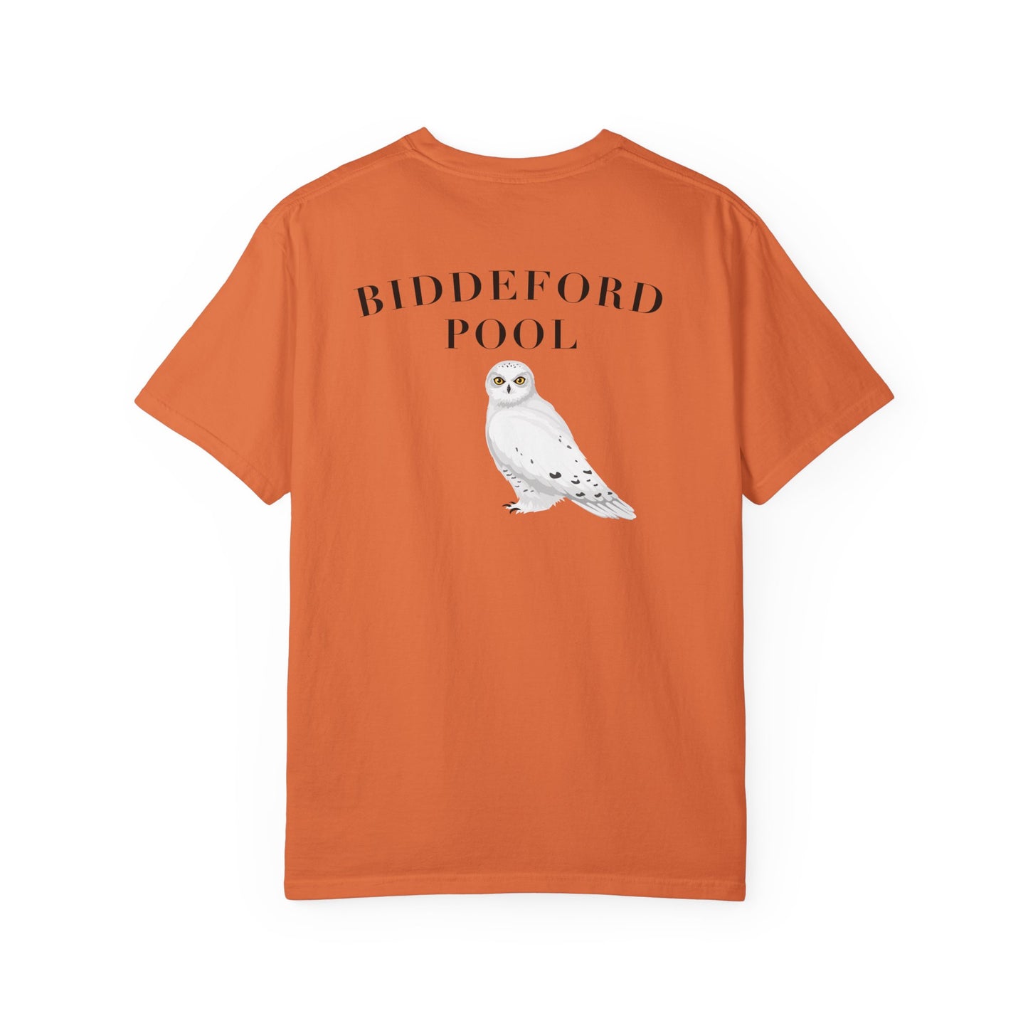 Biddeford Pool Snowy Owl tee