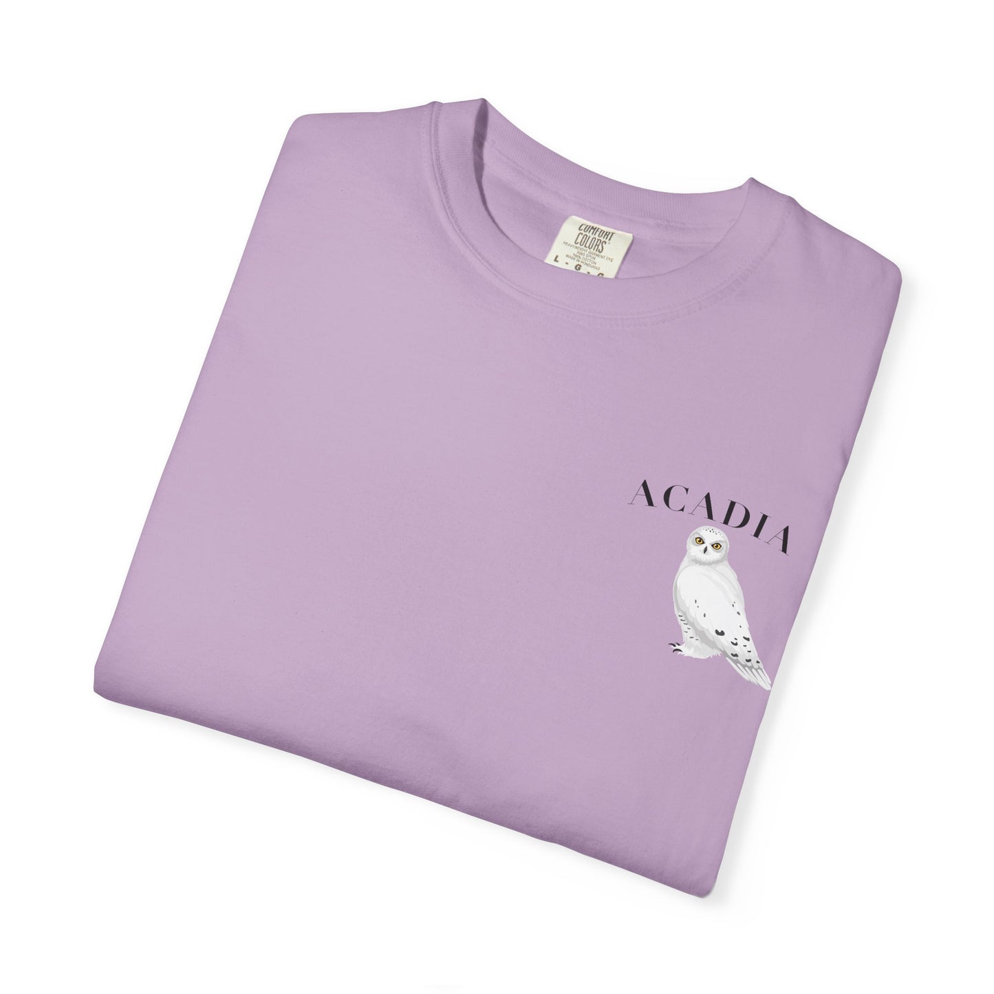 Acadia National Park Snowy Owl Tee – Comfort Colors 1717