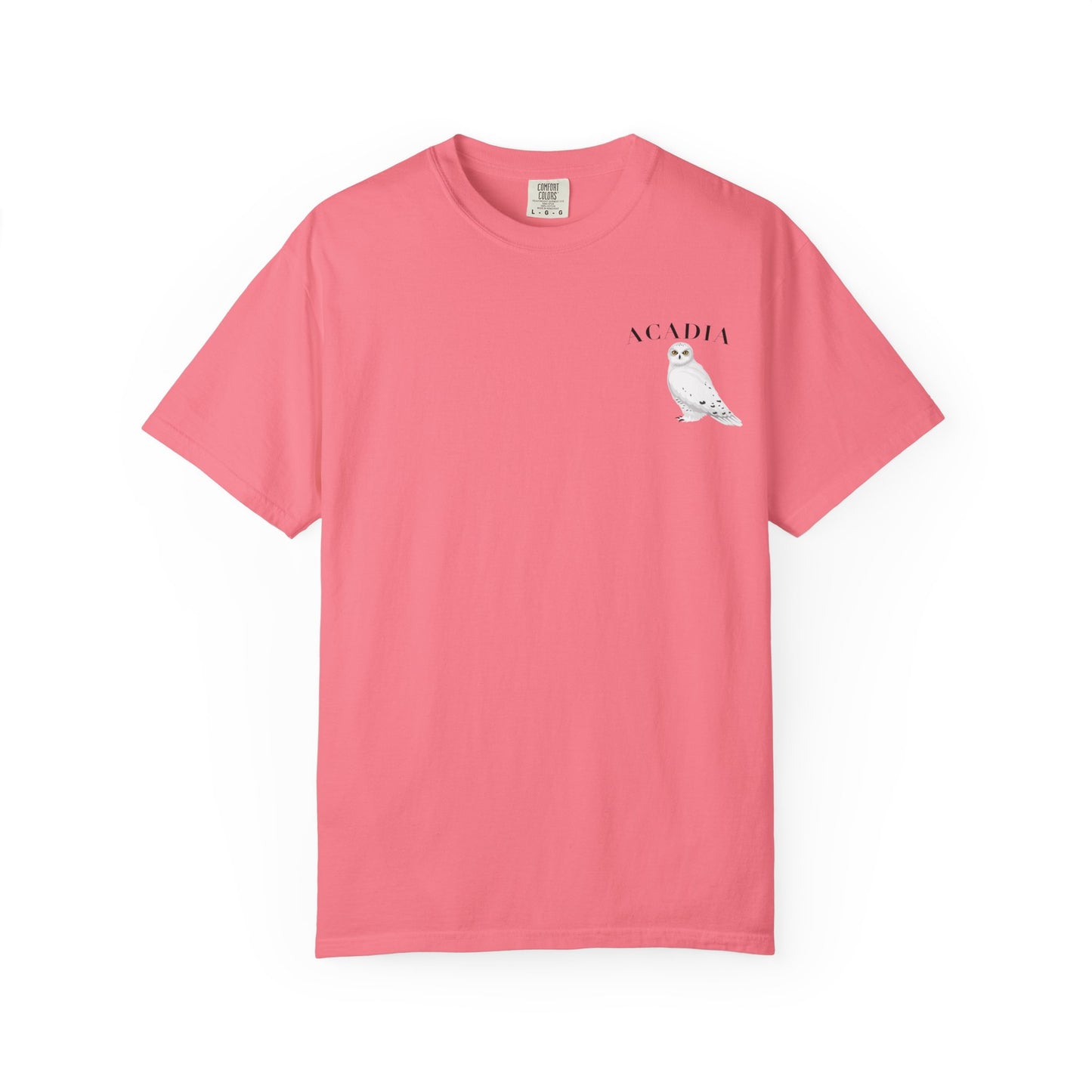 Acadia National Park Snowy Owl Tee – Comfort Colors 1717