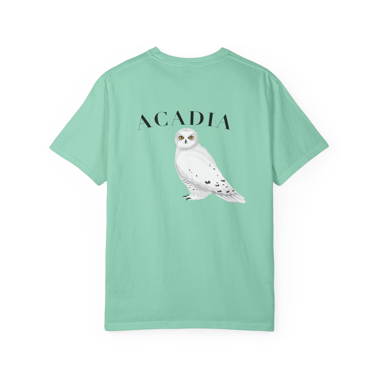 Acadia National Park Snowy Owl Tee – Comfort Colors 1717