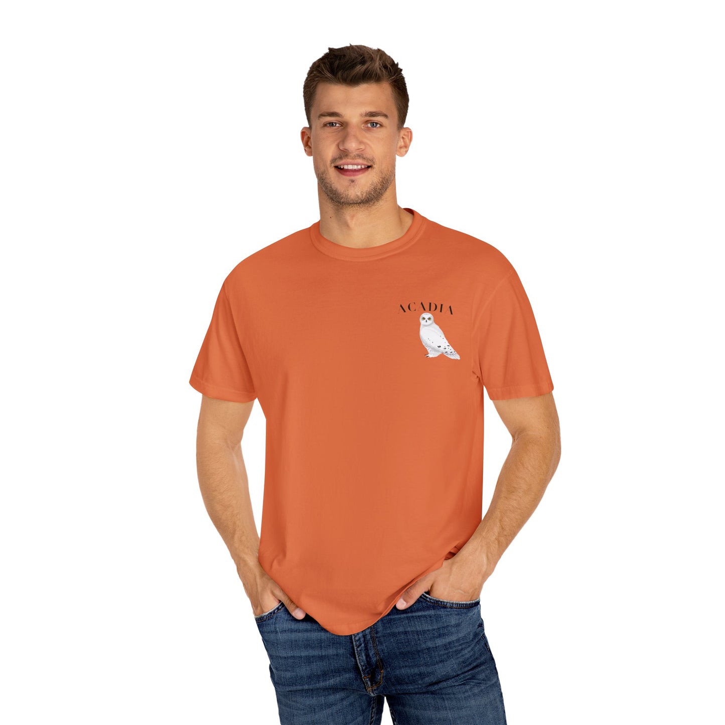 Acadia National Park Snowy Owl Tee – Comfort Colors 1717