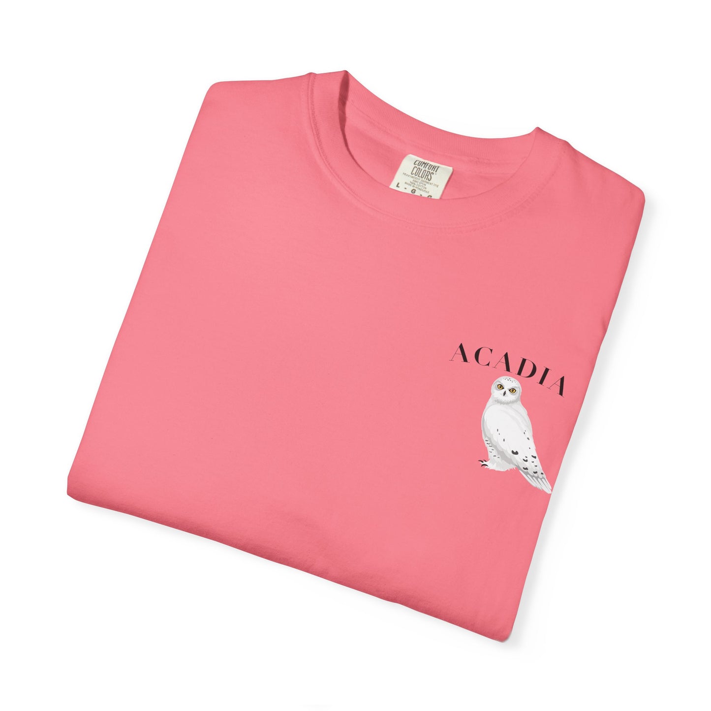 Acadia National Park Snowy Owl Tee – Comfort Colors 1717