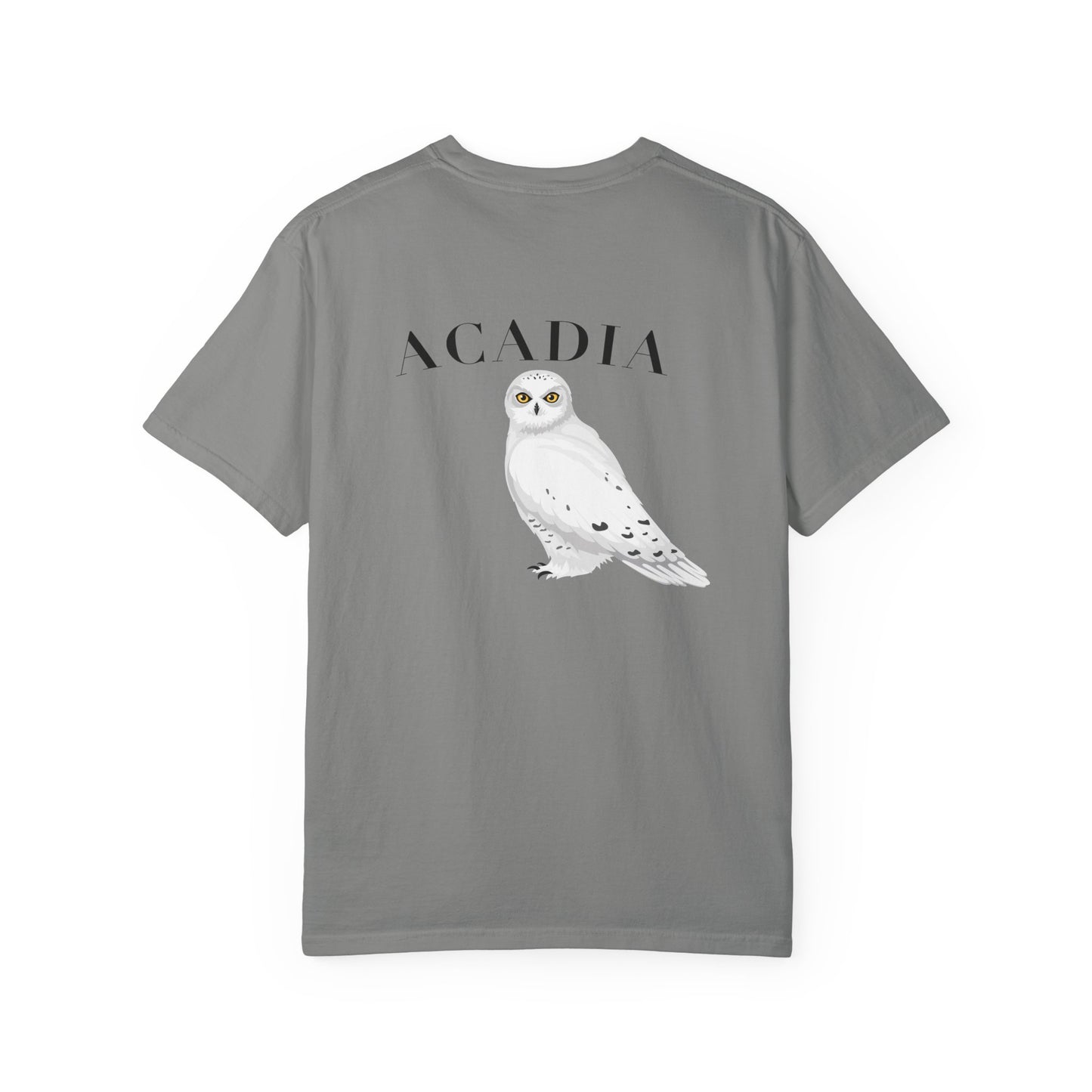 Acadia National Park Snowy Owl Tee – Comfort Colors 1717