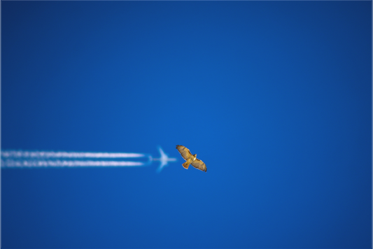 Hawk and 777